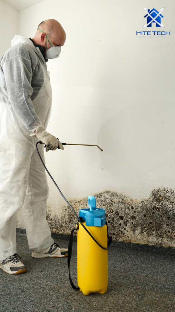 At HiteTech Inspections, we check thoroughly for mold during your home inspection. Houston is one of the best places for mold growth in the country, and is not only dangerous to people, it can in extreme cases damage the home itself.